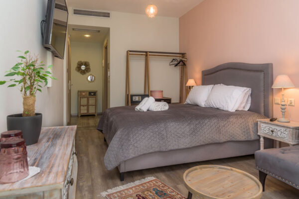 The room includes living room, Jacuzzi shower and beauty accessories.